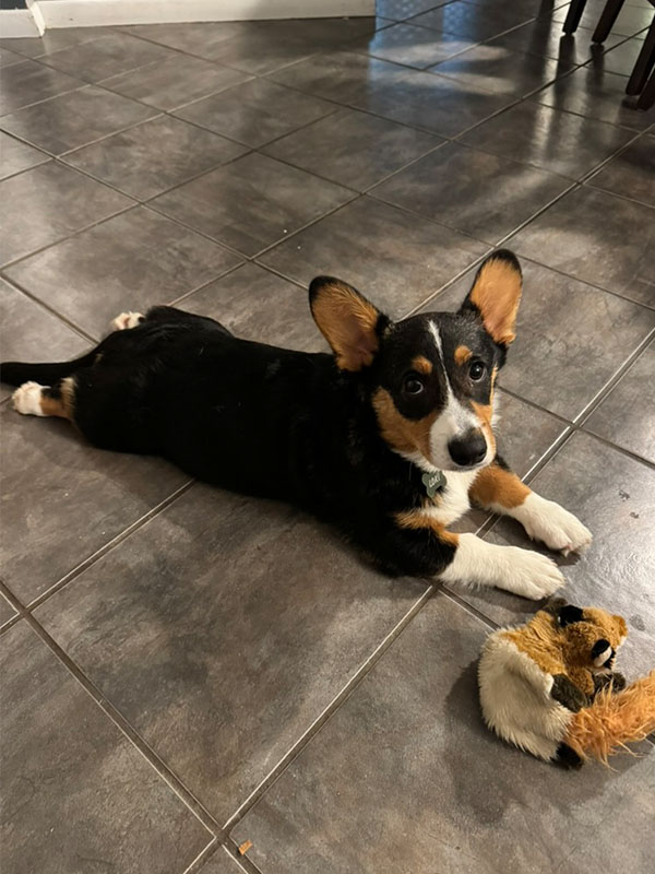 loki sploot 0012 2C672400 E9B0 4F3D A5C5 F723E86D93CE 1 105 c